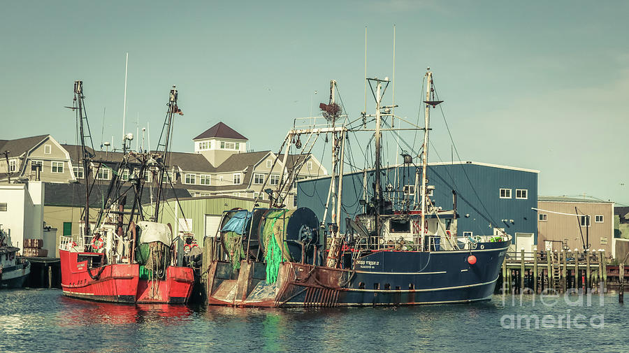 Fishing boats in Gloucester Photograph by Claudia M Photography