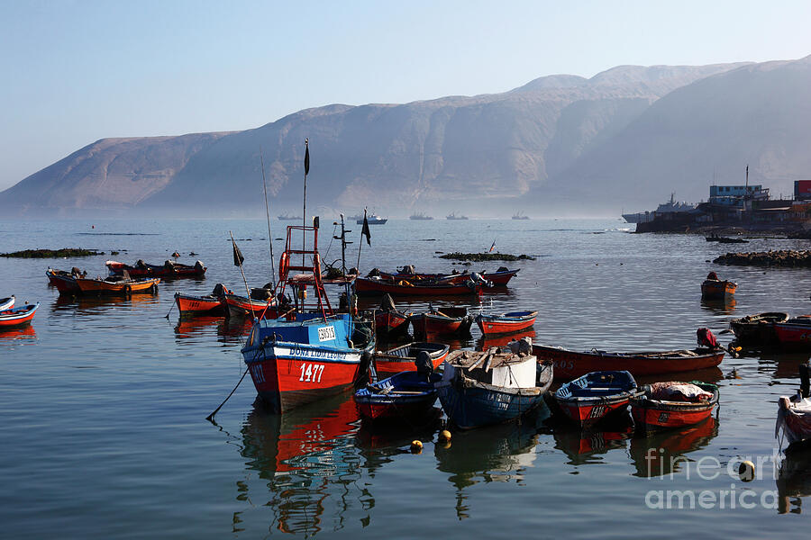Fishing boats in harbour Iquique Chile Photograph by James Brunker