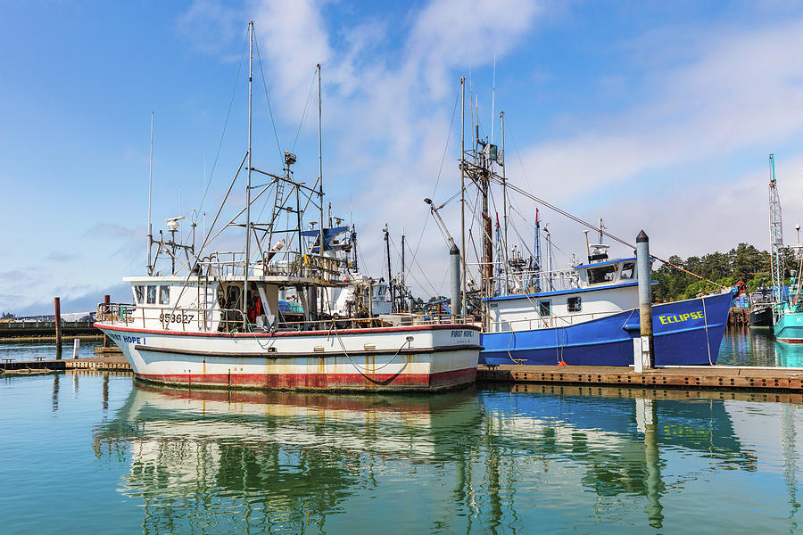 Fishing boats in Newport oregon Photograph by Mike Centioli