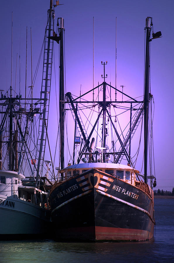 Fishing Boats in the Morning Photograph by Anthony M Davis