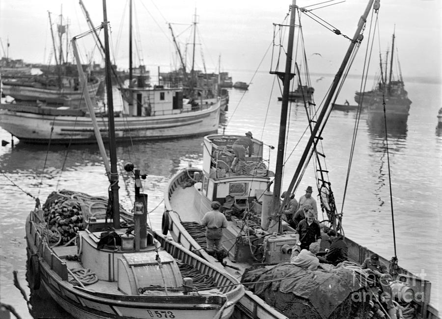 Fishing Boats Photograph - Fishing Boats, Monterey Harbor Circa 1940 by Monterey County Historical Society