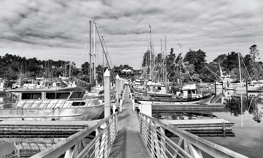 Fishing Boats Moored in Noyo Basin in Black and White Photograph by Kathleen Bishop