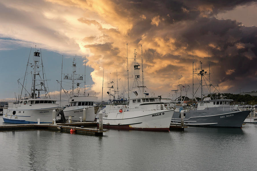 Fishing Boats San Diego Photograph by Chris Smith