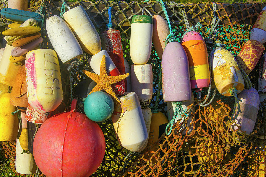 Still Life Photograph - Fishing Bouys And Starfish In Fishing Nets by Garry Gay