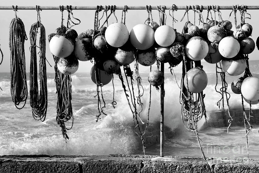 Fishing Buoys in Black and White Photograph by Terri Waters