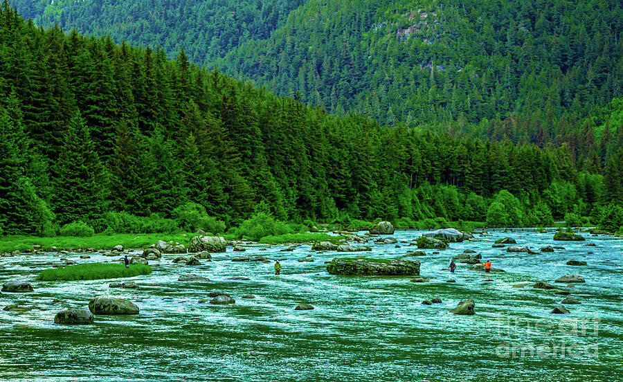 Fishing Chilkoot River Photograph by Robert Bales - Fine Art America