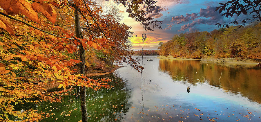 Fall Photograph - Fishing Cove by Randall Branham