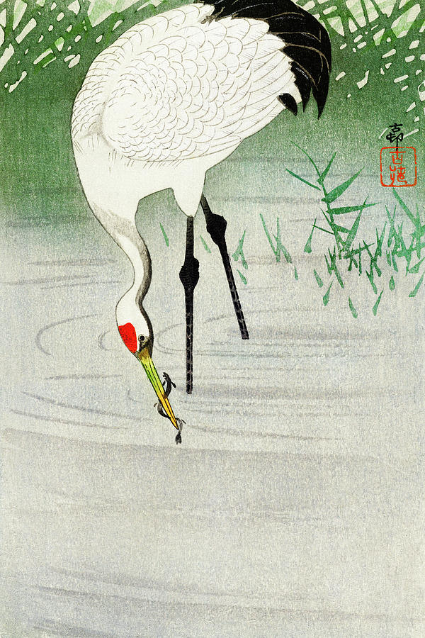 Ohara Koson Painting - Fishing crane in shallow water by Ohara Koson