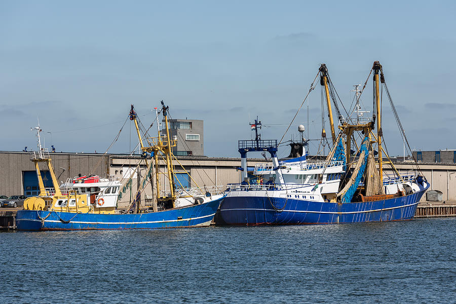 Fishing cutters in harbor Vlissingen, The Netherlands Photograph by Kruwt