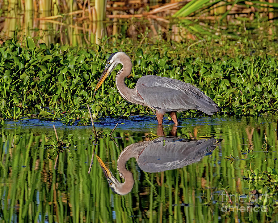 Fishing Photograph by Dale Erickson - Fine Art America