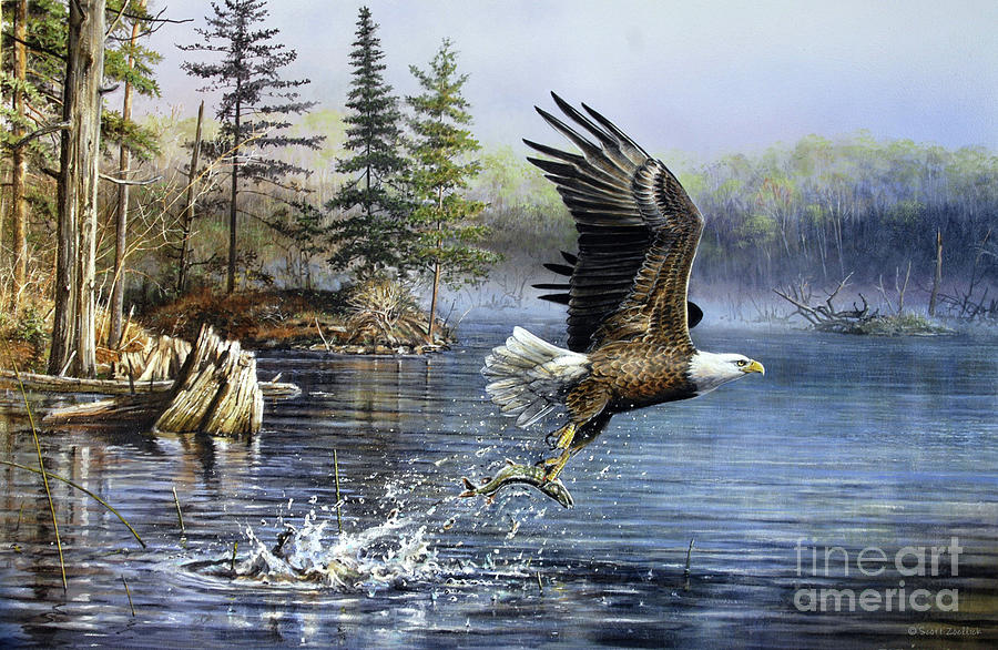 Fishing eagle Painting by Scott Zoellick
