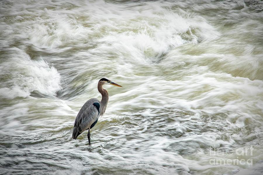 Fishing in the St James River Photograph by Viv Thompson | Fine Art America