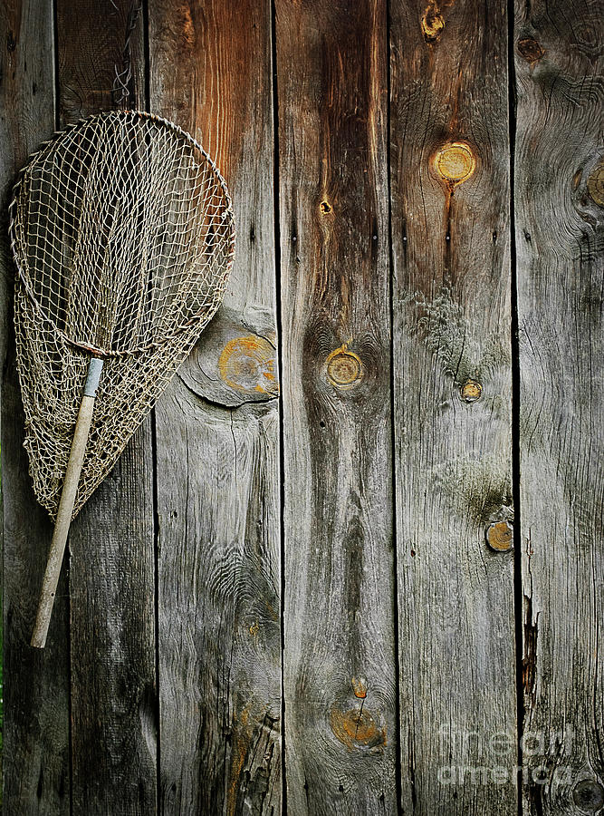 Fishing net Photograph by Jelena Jovanovic