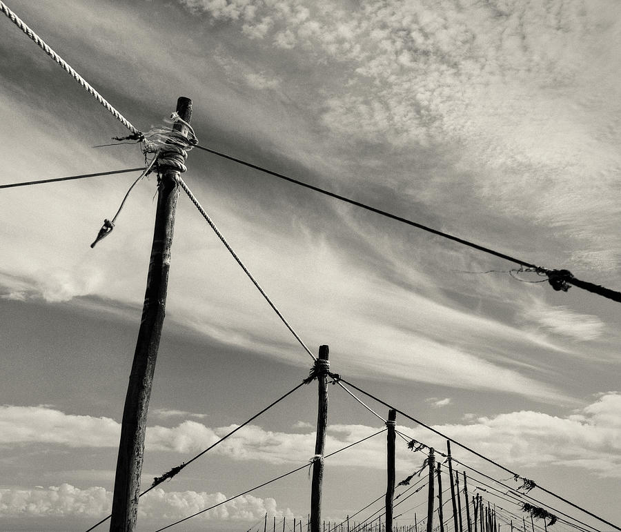 Fishing Net Poles Photograph