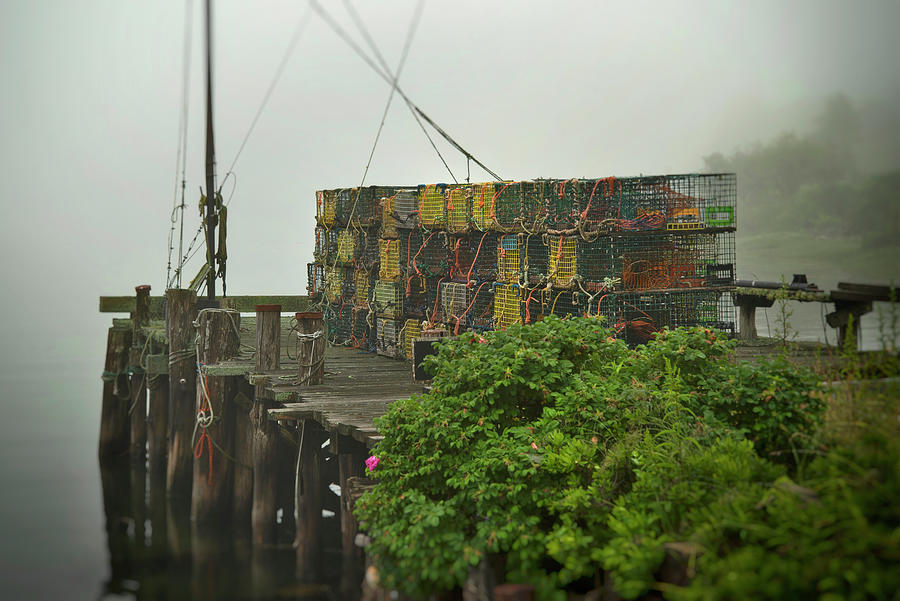 Fishing Pier on a Foggy Morning Photograph by Joann Vitali