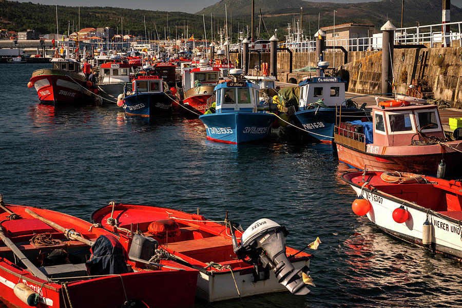 Fishing Port of Ribeira Photograph by Pablo Lopez