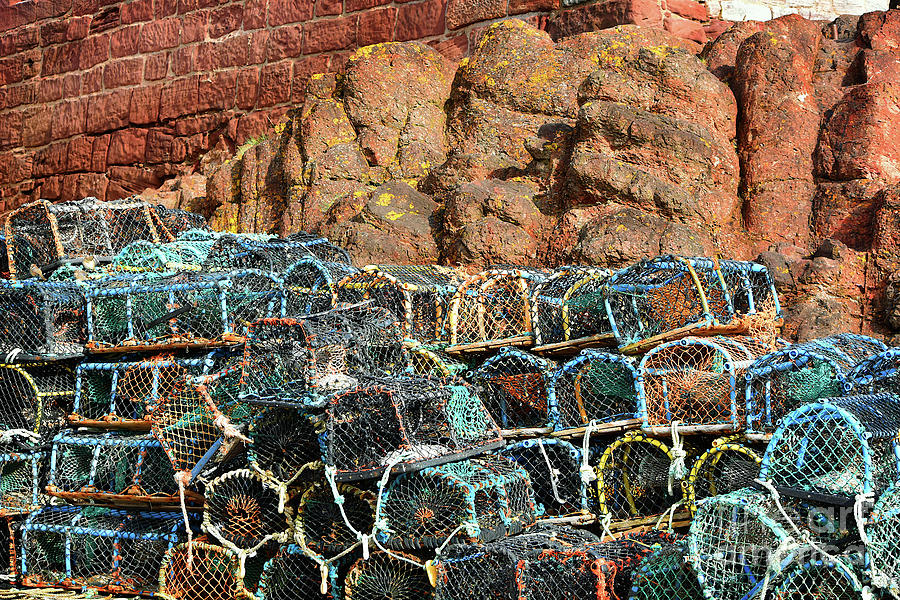 Fishing Pots Dunbar Harbour Photograph by Yvonne Johnstone
