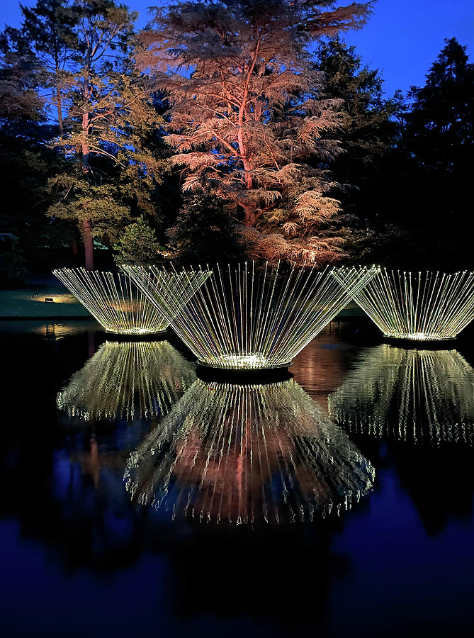 Fishing Rod Fountains of Light Photograph by Deborah League