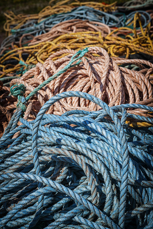 Rope Photograph - Fishing ropes by Elena Elisseeva