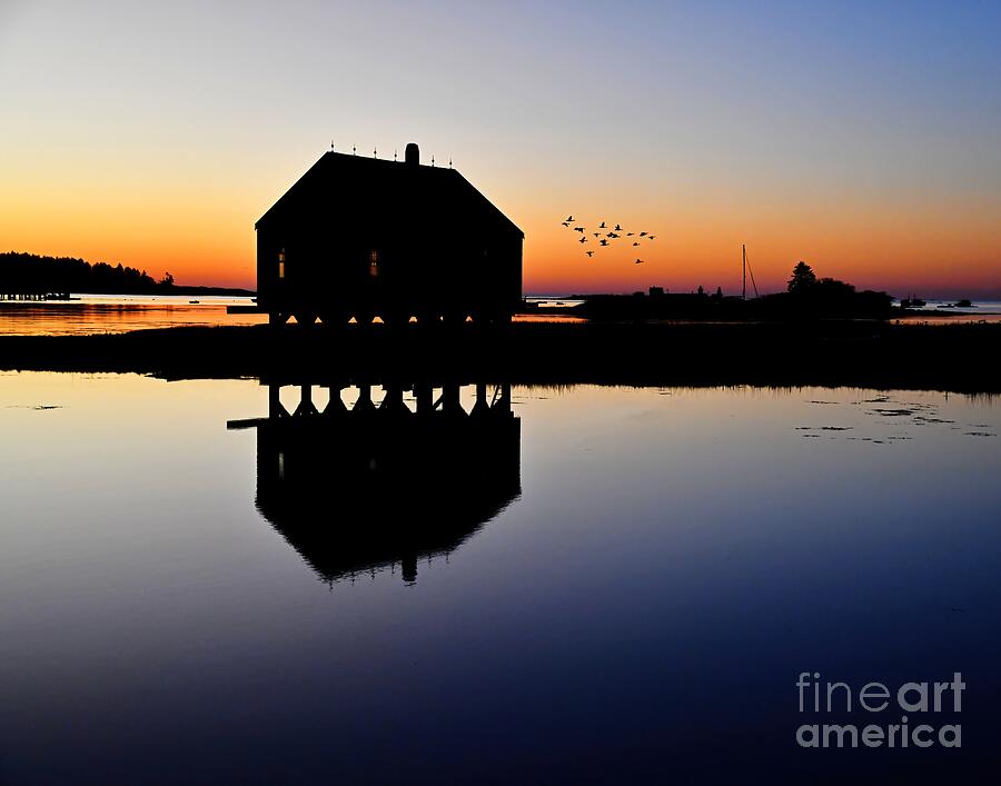 Cape Porpoise Photograph - Fishing Shack Fly-by by Steve Brown