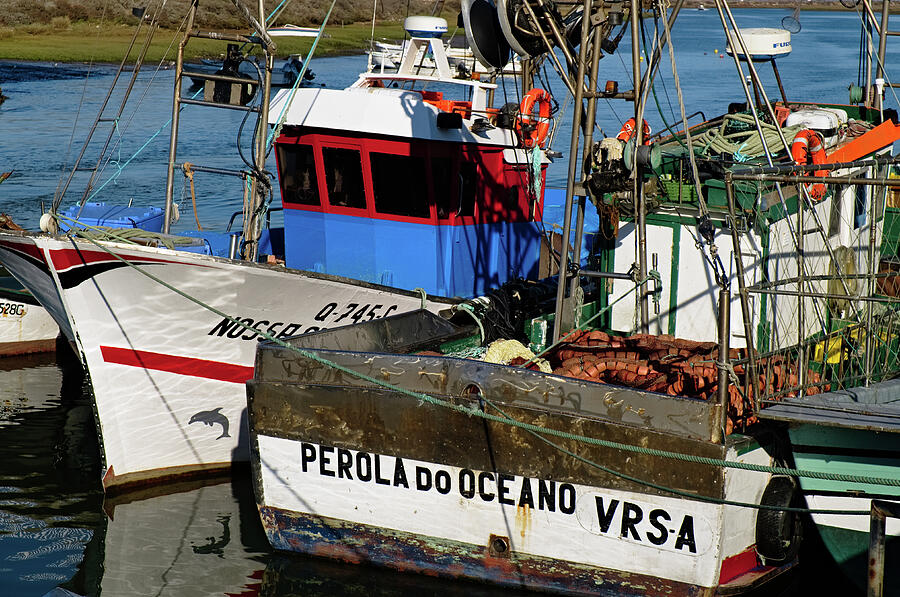 Fishing Ships in Tavira Photograph by Angelo DeVal