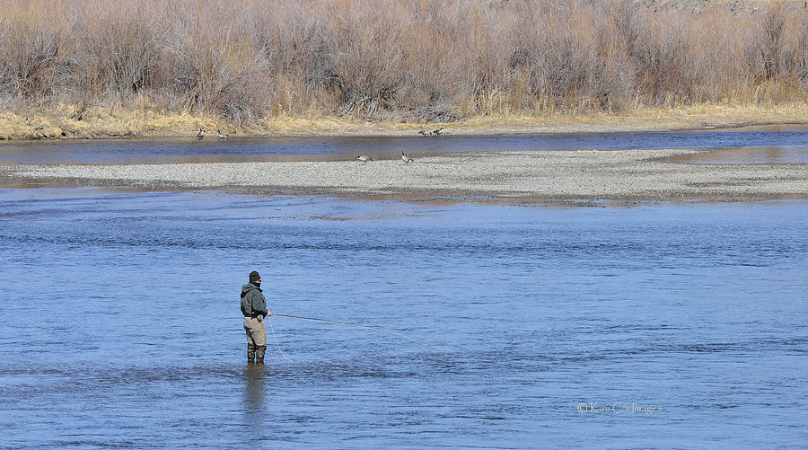 Geese Photograph - Fishing the Missouri by Kae Cheatham