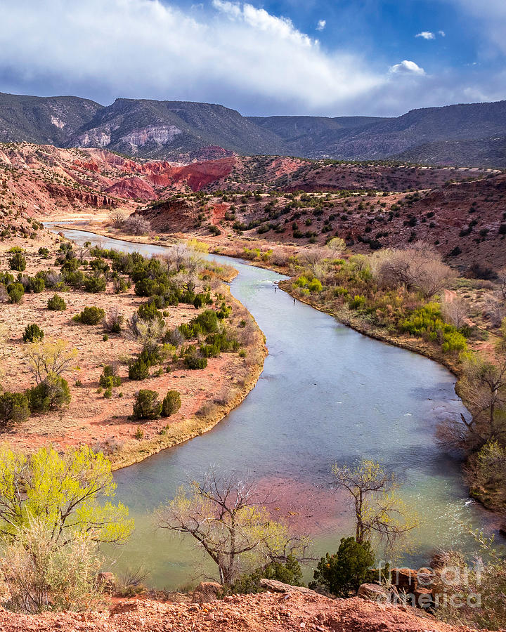 Fishing the Rio Chama Vertical Photograph by Elijah Rael - Fine Art America