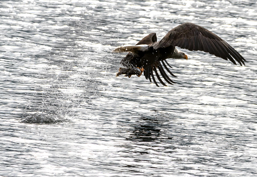 Fishing Time Photograph by Matthew Nelson