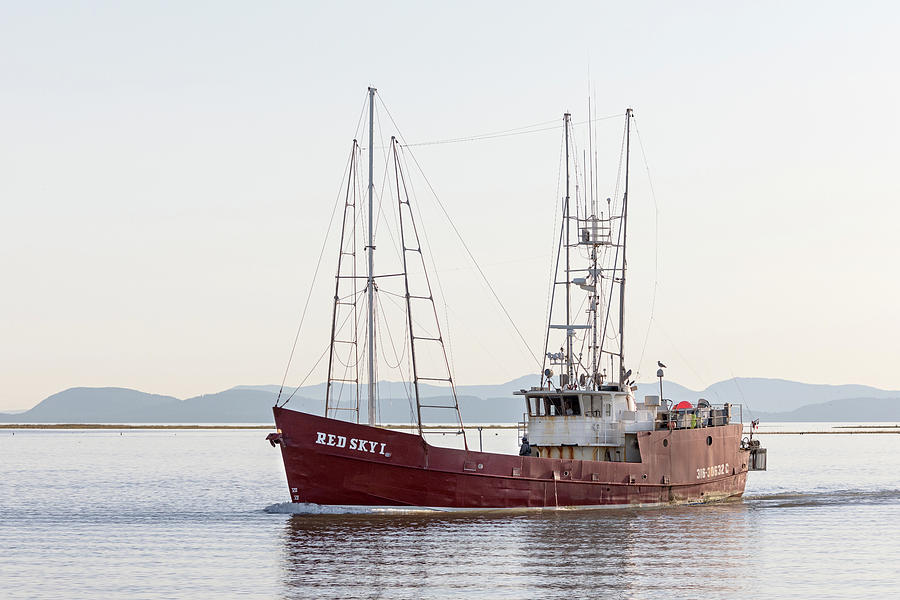 Fishing Trawler Red Sky I at Steveston Harbour Photograph by Michael Russell