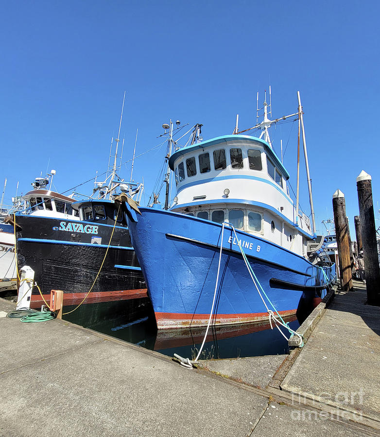 Fishing Vessel Elaine B Moored Photograph by Norma Appleton