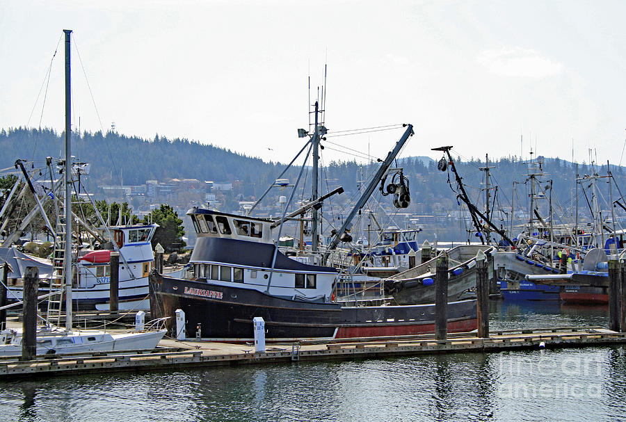 Fishing Vessel Laurianne Squalicum Marina Photograph by Norma Appleton
