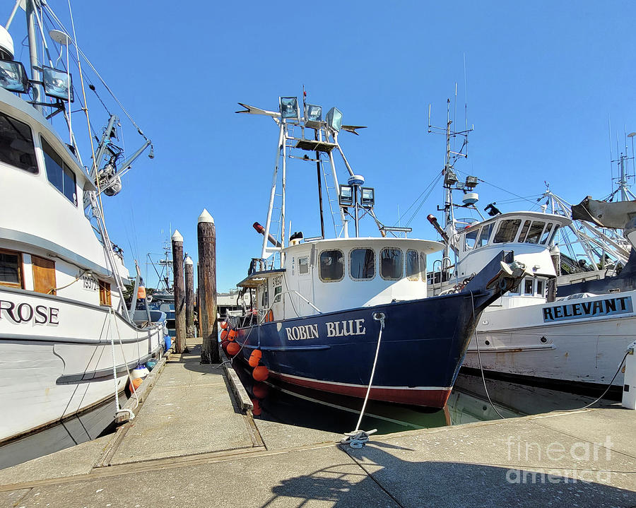Fishing Vessel Robin Blue Moored Photograph by Norma Appleton