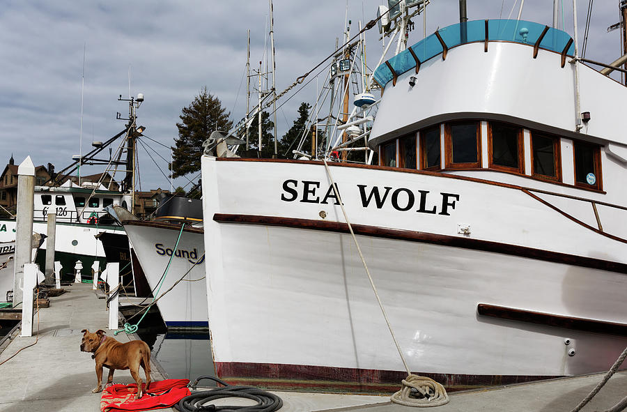 Fishing Vessel Sea Wolf In Noyo Harbor Fort Bragg Photograph