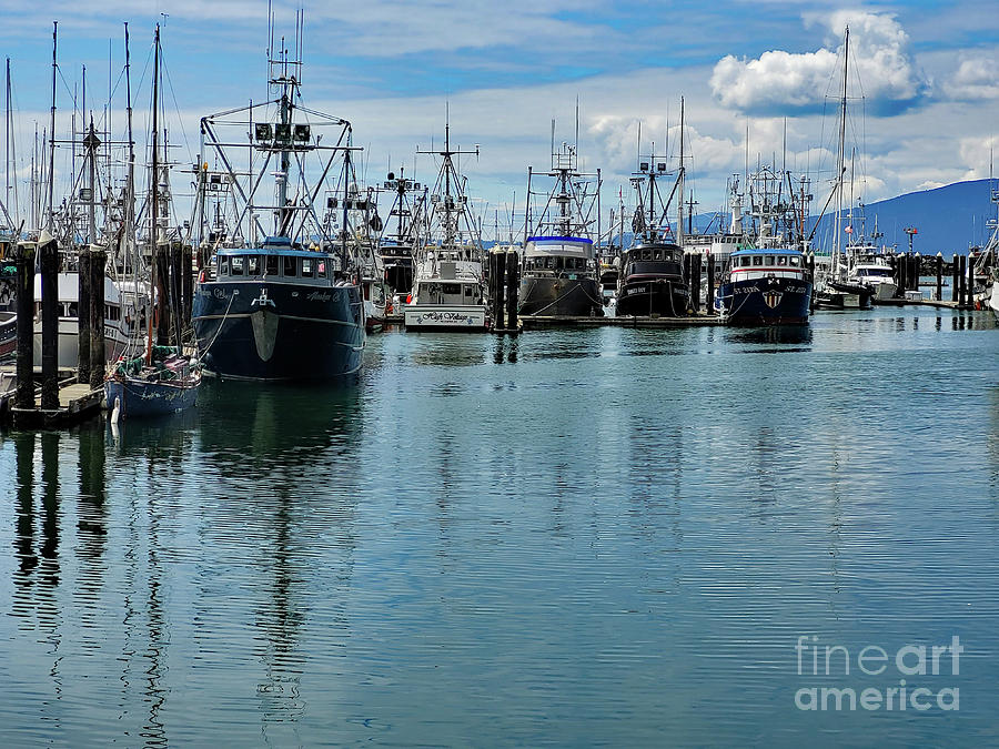 Fishing Vessels Alaska Girl, High Voltage and St. Zita Photograph by Norma Appleton