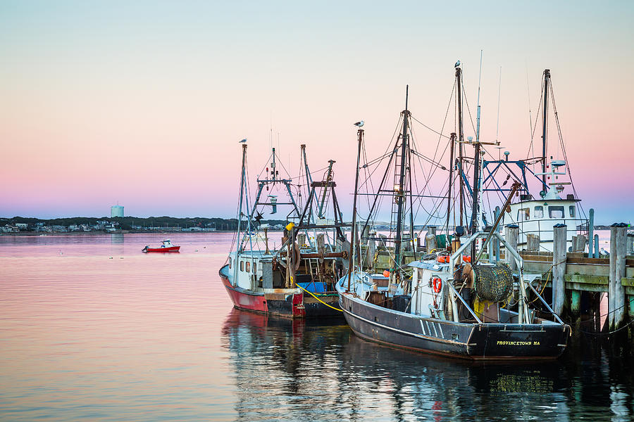Fishing Vessels Docked at MacMillan Wharf Provincetown Photograph by Photography by Deb Snelson