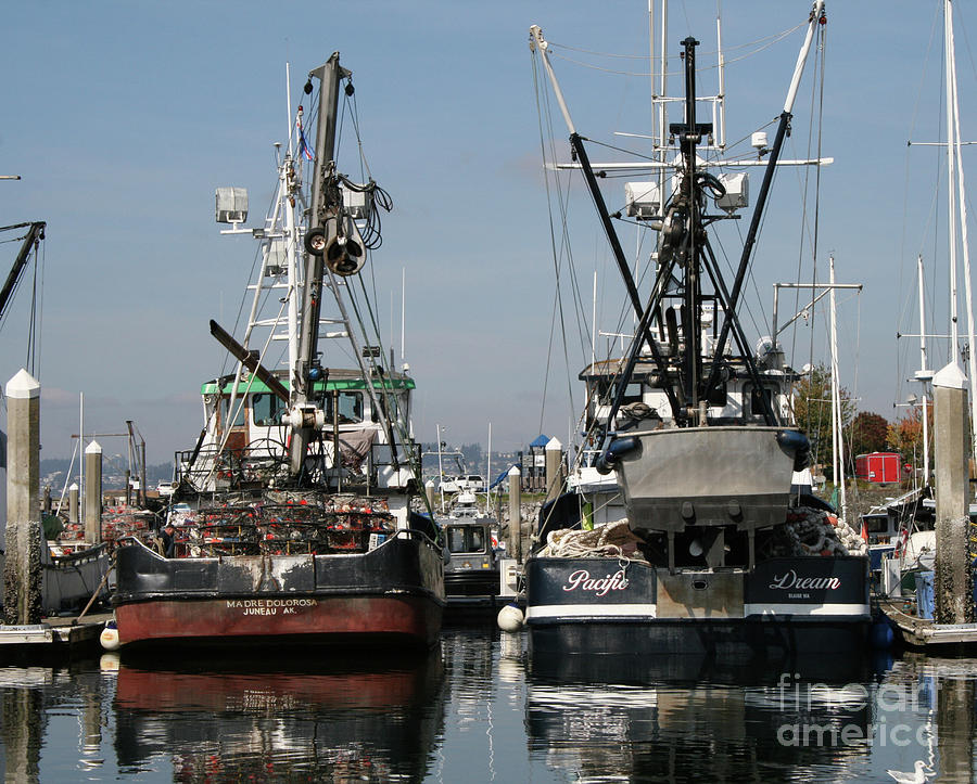 Fishing Vessels Madre Dolorosa and Pacific Dream Photograph by Norma Appleton