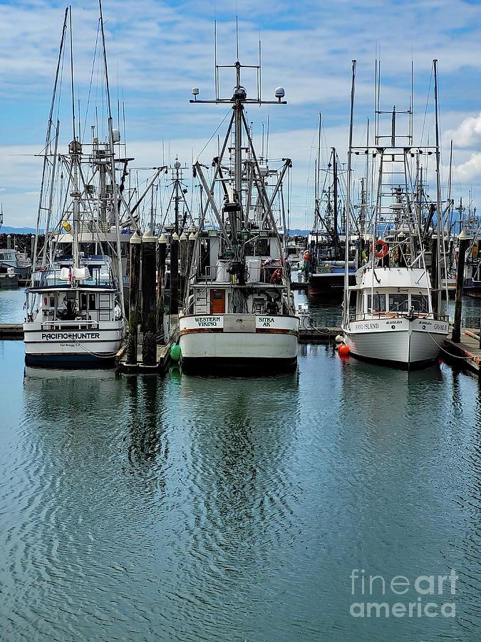Fishing Vessels Pacific Hunter, Western Viking and Grand Island Photograph by Norma Appleton