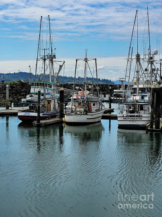 Fishing Vessels Sleipner, Pacific Hunter and Greta Photograph by Norma Appleton
