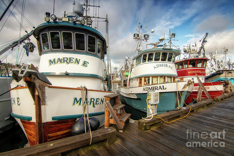 Fishing Vessels Photograph by Sonya Lang
