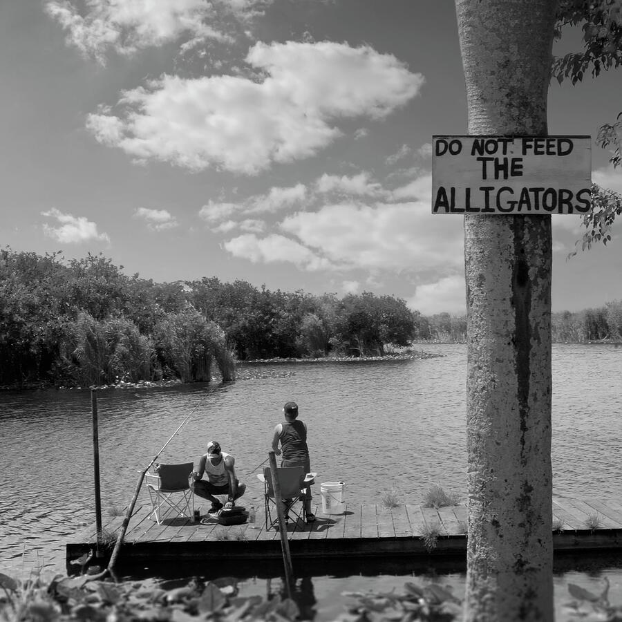 Fishing with the Florida Gators Square BW Photograph by Bob Pardue