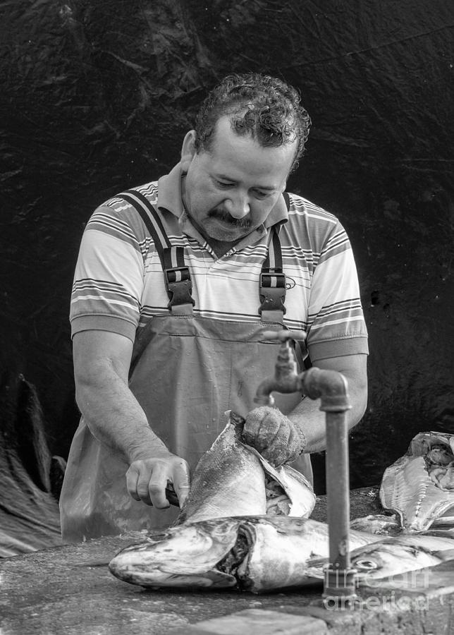 Fishmonger on Santa Cruz Island in the Galapagos in Black and White Photograph by L Bosco