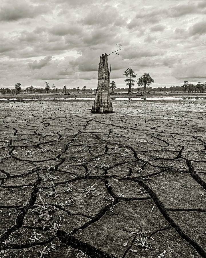 Fissures of Life Photograph by Andy Crawford