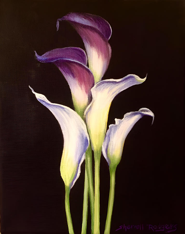 Five Calla Lilies Painting by Sherrell Rodgers