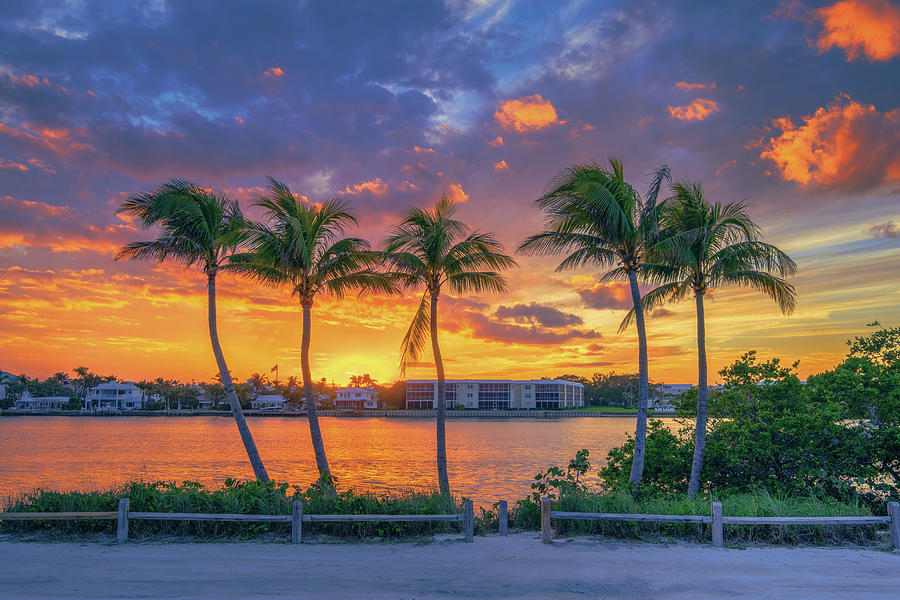 Five Coconut Tree Sunset Jupiter Island Florida Photograph by Kim Seng ...