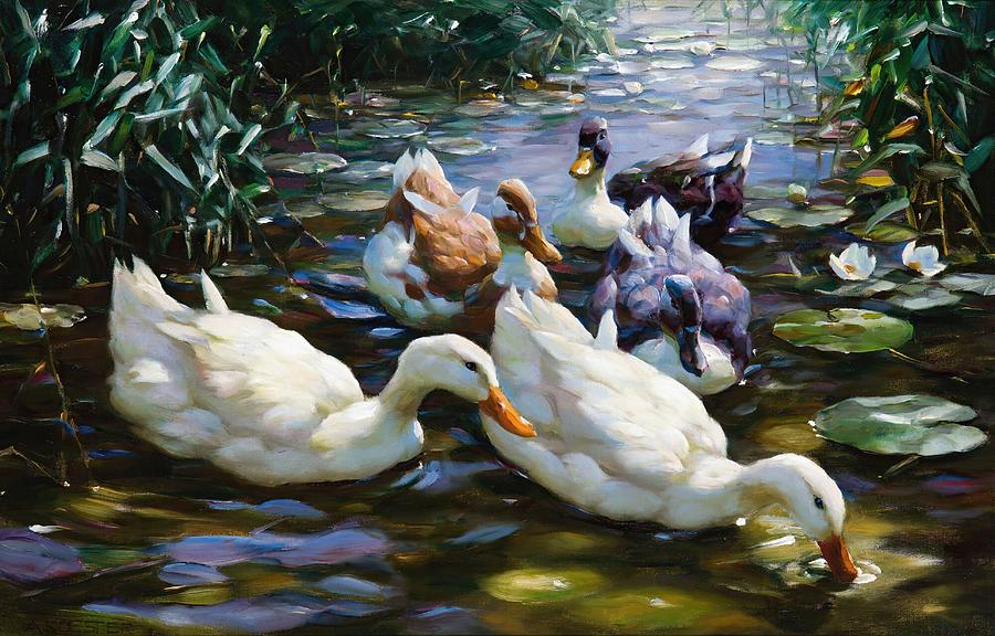 Five Ducks art Drawing by Alexander Koester German - Fine Art America