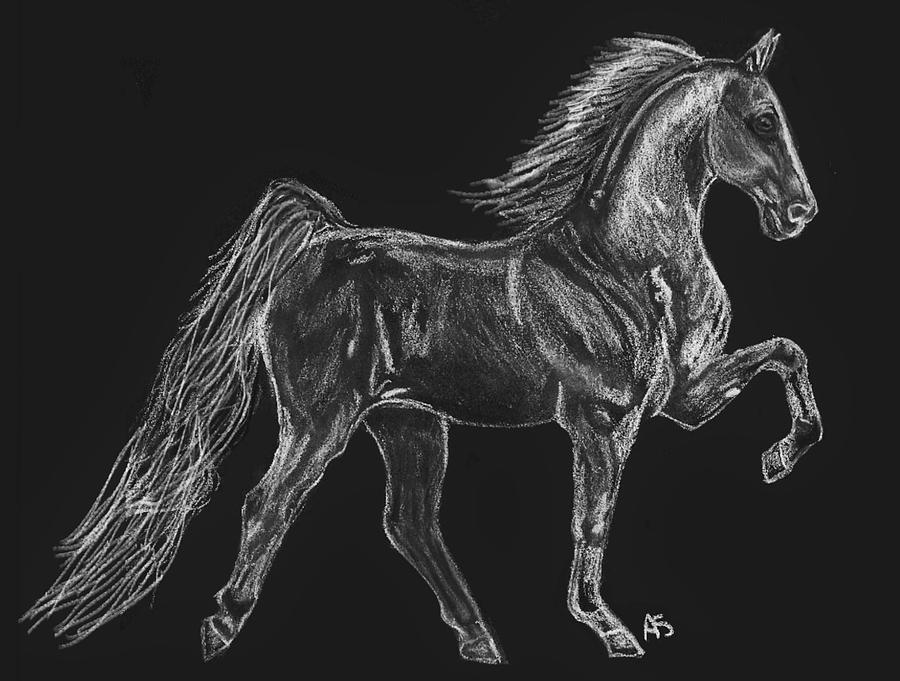 Five Gaited Saddlebred Drawing by Allison Skubal - Fine Art America