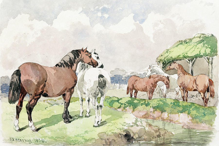Five Horses near a Brook Painting by John Frederick Herring