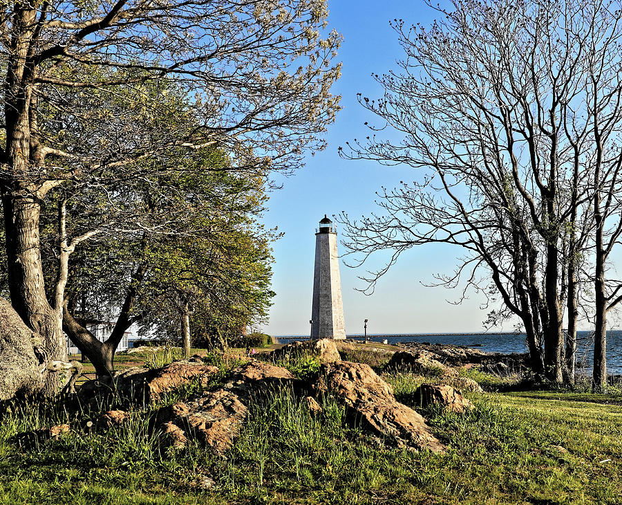 Five Mile Point Lighthouse framed by trees Photograph by Doolittle Photography and Art