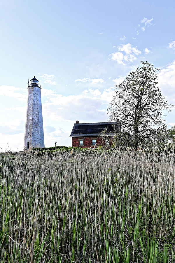 Five Mile Point Lighthouse with grass Photograph by Doolittle Photography and Art