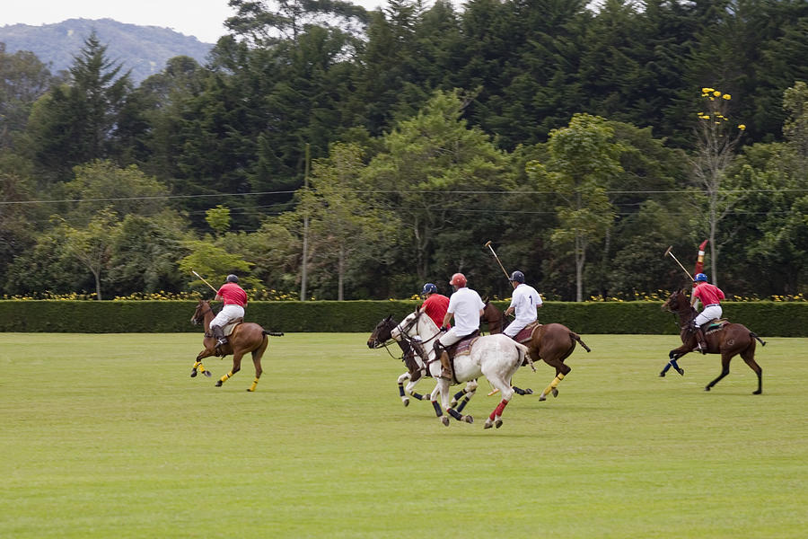 Five polo players playing polo Photograph by Glowimages
